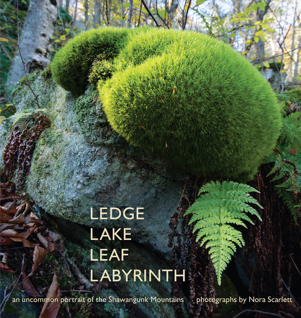 Ledge Lake Leaf Labyrinth: an uncommon portrait of Shawangunks - Click Image to Close